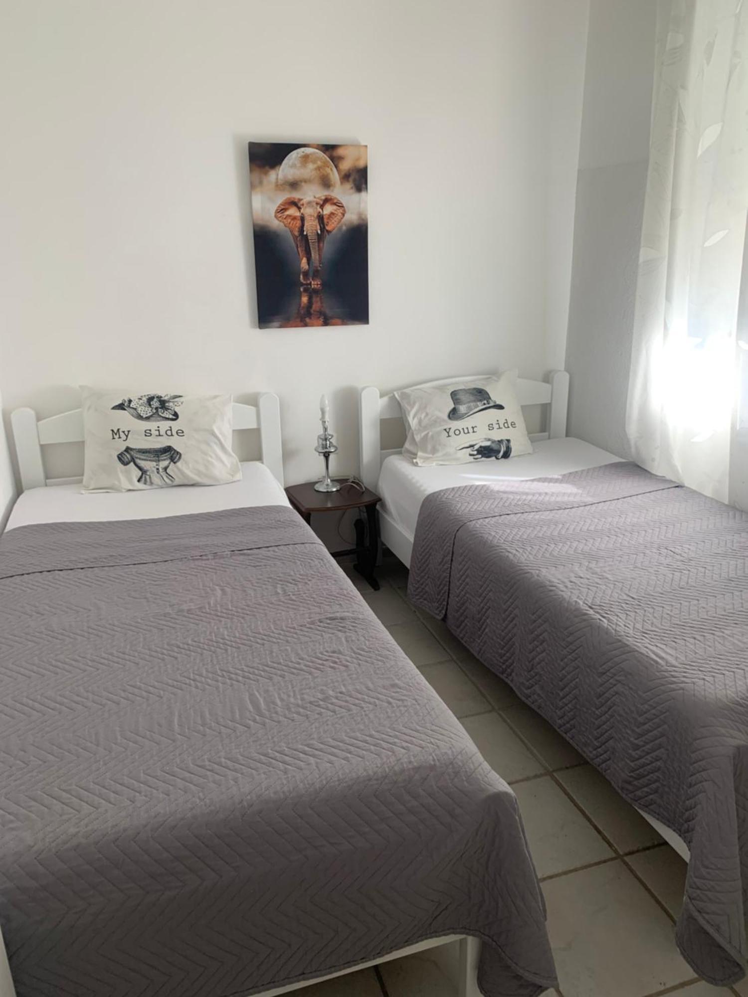 Apartman Ana Zeleni Pojas 巴尔 外观 照片